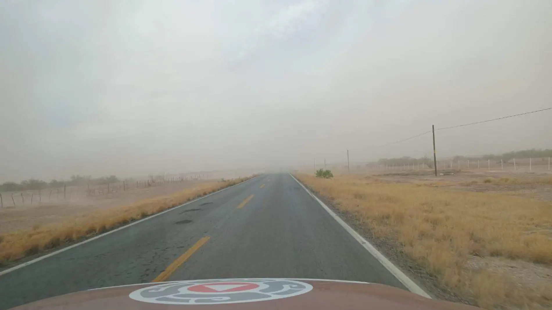 Tolvanera en carretera